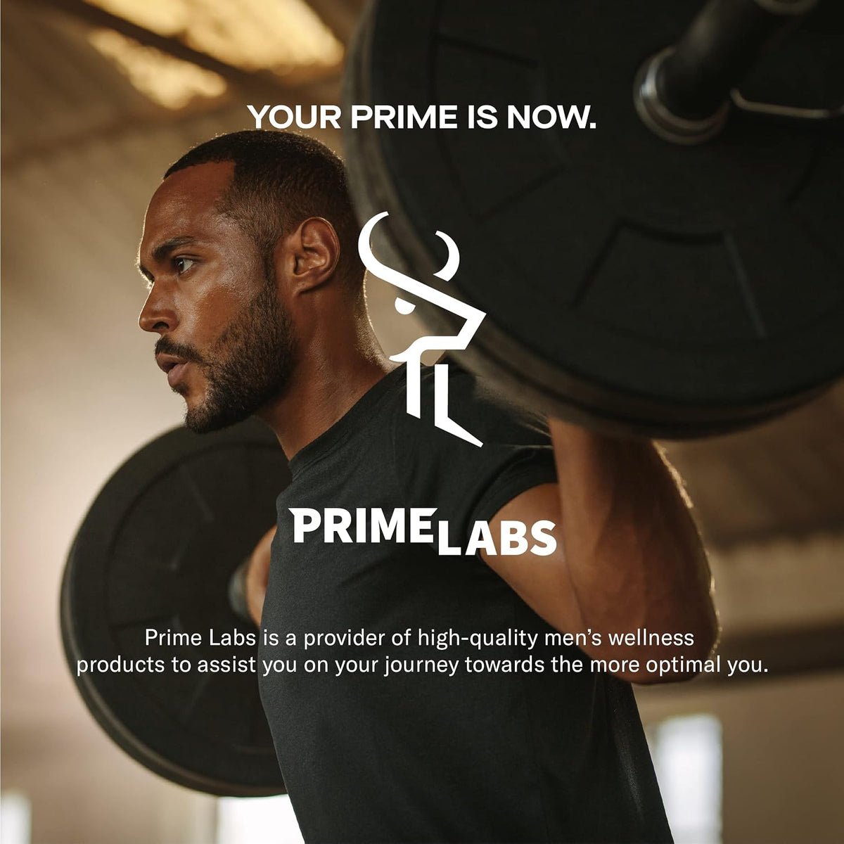 Prime Labs Testosterone Booster for Men, Supports Strength & Stamina Prime Test Blend with Tongkat Ali, Saw Palmetto & Nettle Root, Made in USA, 60 Caplets